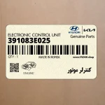 كنترلر موتور (391083E025) هیوندای