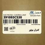 كنترلر موتور (391093C530) هیوندای