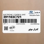 كنترلر موتور (391103C721) هیوندای