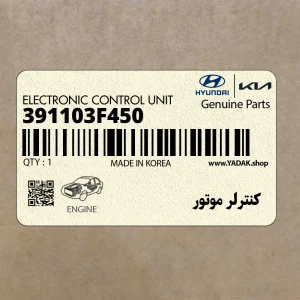 كنترلر موتور (391103F450) هیوندای