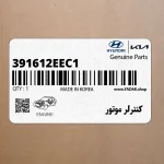 كنترلر موتور (391612EEC1) هیوندای