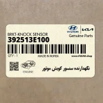نگهدارنده سنسور كوبش موتور (392513E100) هیوندای