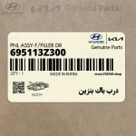 درب باك بنزين (695113Z300) هیوندای