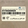 قاب داخلي درب پنجم بالا چپ بژ (817302E000Z9) هیوندای