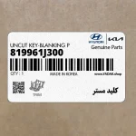 كليد مستر (819961J300) هیوندای