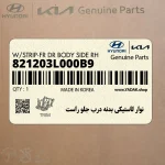 نوار لاستيكي بدنه درب جلو راست (821203L000B9) هیوندای