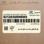 نوار لاستيكي بدنه درب جلو راست بژ (821203M000M5) هیوندای