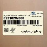 زه آبگير درب جلو چپ (822102W000) هیوندای