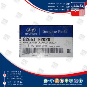 دستگيره خارجي درب عقب چپ (82651F2020) النترا نیو