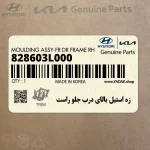 زه استيل بالاي درب جلو راست (828603L000) هیوندای