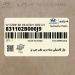 نوار لاستيكي بدنه درب عقب چپ بژ (831102B000J9) هیوندای