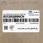 نوار لاستيكي بدنه درب عقب راست (831203J000CH) هیوندای