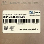 نوار لاستيكي بدنه درب عقب راست بژ (831203L000A9) هیوندای