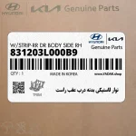 نوار لاستيكي بدنه درب عقب راست (831203L000B9) هیوندای