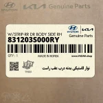 نوار لاستيكي بدنه درب عقب راست (831203S000RY) هیوندای