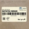 قاب دور ضبط (847413L100WK) هیوندای