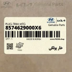خار پولكي (8574629000X6) هیوندای