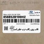 قاب روي ركاب درب جلو راست (858852B100HZ) هیوندای