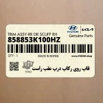 قاب روي ركاب درب عقب راست (858853K100HZ) هیوندای