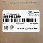 زه جلو پنجره استيل رديف دوم راست (863543L350) هیوندای