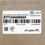 ركاب بيروني چپ (877134H000GF) هیوندای