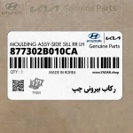ركاب بيروني چپ (877302B010CA) هیوندای