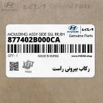 ركاب بيروني راست (877402B000CA) هیوندای