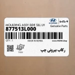 ركاب بيروني چپ (877513L000) هیوندای