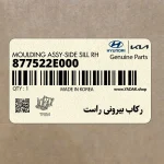 ركاب بيروني راست (877522E000) هیوندای