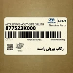 ركاب بيروني راست (877523K000) هیوندای