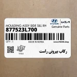 ركاب بيروني راست (877523L700) هیوندای