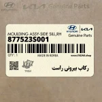 ركاب بيروني راست (877523S001) هیوندای