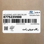 ركاب بيروني راست (877523V000) هیوندای