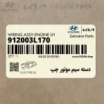 دسته سيم موتور چپ (912003L170) هیوندای