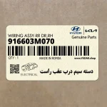 دسته سيم درب عقب راست (916603M070) هیوندای