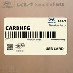 USB CARD (USB CARD-HFG) هیوندای