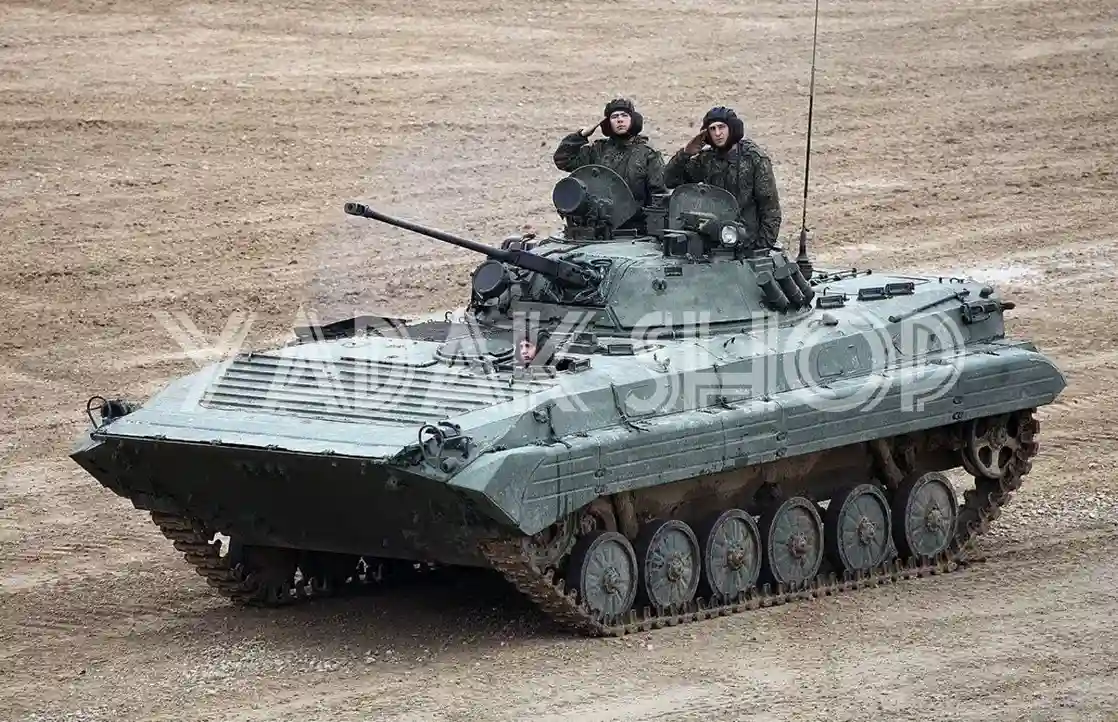 BMP-2 BMP-2