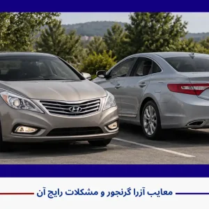 معایب آزرا گرنجور و مشکلات رایج آن معایب آزرا گرنجور و مشکلات رایج آن